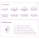 Ресницы цветные Enigma "Lavender" изгиб C, D (МИКС, 6 линий)